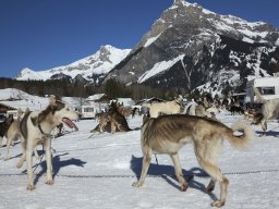 Kandersteg 2014 WM