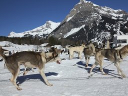 Kandersteg 2014 WM