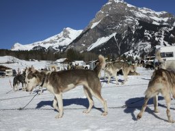 Kandersteg 2014 WM