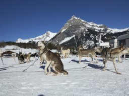 Kandersteg 2014 WM