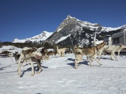 Kandersteg 2014 WM