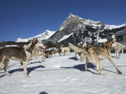 Kandersteg 2014 WM