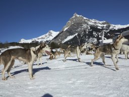 Kandersteg 2014 WM