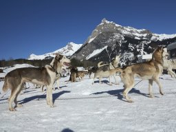 Kandersteg 2014 WM