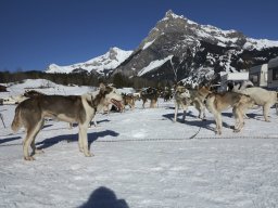 Kandersteg 2014 WM