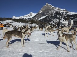 Kandersteg 2014 WM