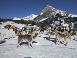 Kandersteg 2014 WM