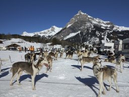 Kandersteg 2014 WM