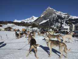 Kandersteg 2014 WM