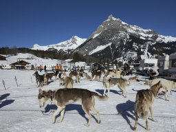 Kandersteg 2014 WM