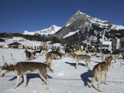 Kandersteg 2014 WM