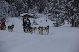 Kandersteg 2014 WM