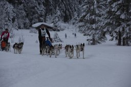 Kandersteg 2014 WM