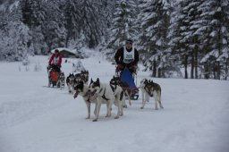 Kandersteg 2014 WM