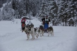 Kandersteg 2014 WM