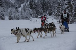 Kandersteg 2014 WM