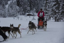 Kandersteg 2014 WM