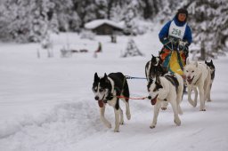 Kandersteg 2014 WM