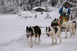 Kandersteg 2014 WM