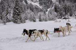 Kandersteg 2014 WM