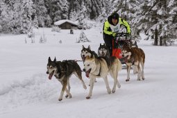 Kandersteg 2014 WM