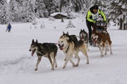 Kandersteg 2014 WM