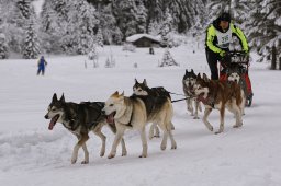 Kandersteg 2014 WM