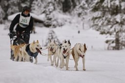 Kandersteg 2014 WM