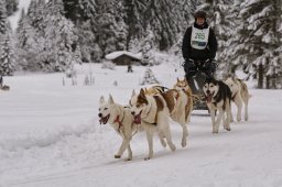 Kandersteg 2014 WM