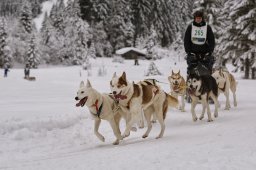 Kandersteg 2014 WM