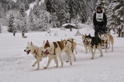 Kandersteg 2014 WM