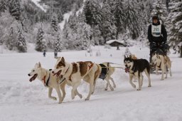 Kandersteg 2014 WM