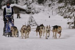 Kandersteg 2014 WM