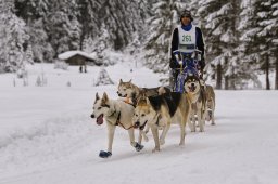 Kandersteg 2014 WM