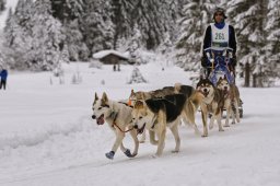 Kandersteg 2014 WM