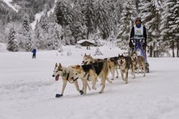 Kandersteg 2014 WM