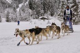 Kandersteg 2014 WM