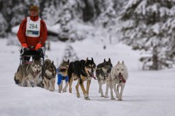 Kandersteg 2014 WM