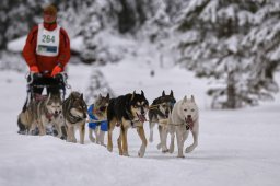 Kandersteg 2014 WM