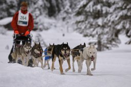 Kandersteg 2014 WM