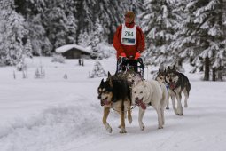 Kandersteg 2014 WM