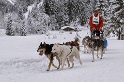 Kandersteg 2014 WM