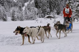 Kandersteg 2014 WM