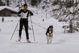 Kandersteg 2014 WM