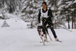 Kandersteg 2014 WM