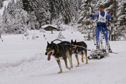 Kandersteg 2014 WM