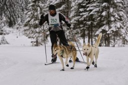 Kandersteg 2014 WM