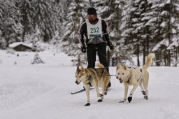 Kandersteg 2014 WM