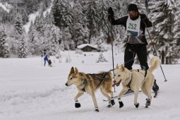 Kandersteg 2014 WM