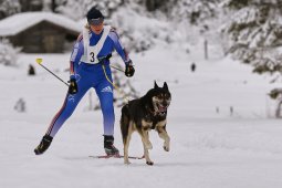 Kandersteg 2014 WM